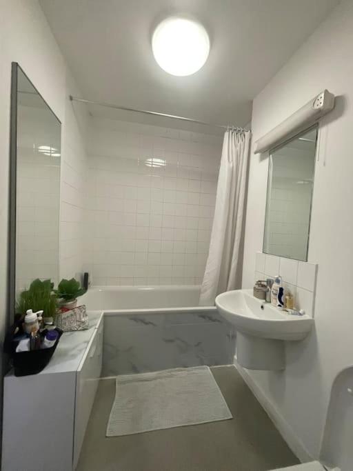 Spacious One Bedroom Ft In Central London King'S Cross Extérieur photo